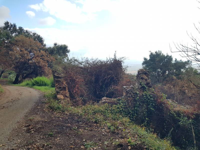 Terreno a Lamezia terme in Via Pasquale Stancati - Foto 4