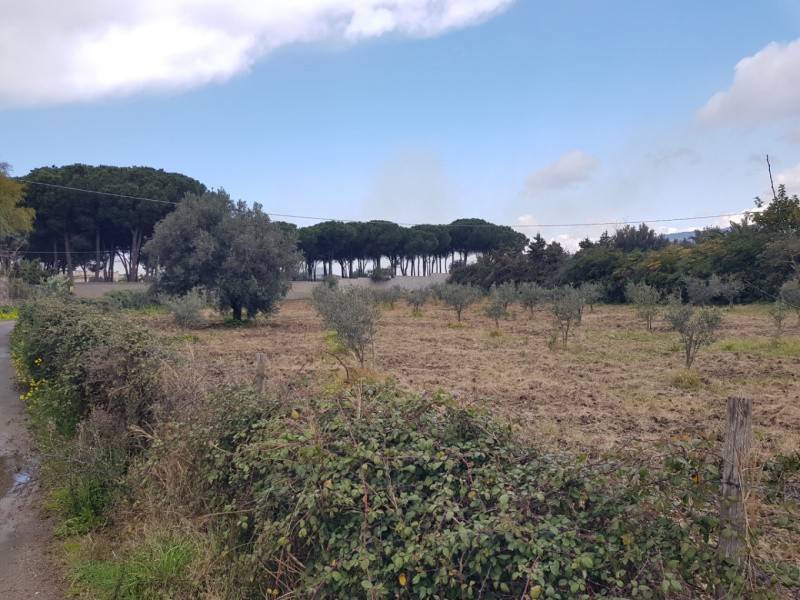 Terreno a Gizzeria in Via Capo Suvero - Foto 3