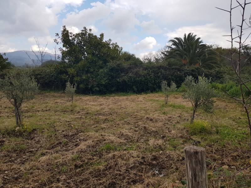 Terreno a Gizzeria in Via Capo Suvero - Foto 4