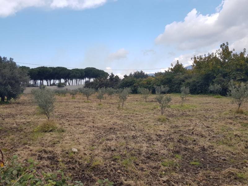 Terreno a Gizzeria in Via Capo Suvero - Foto 5