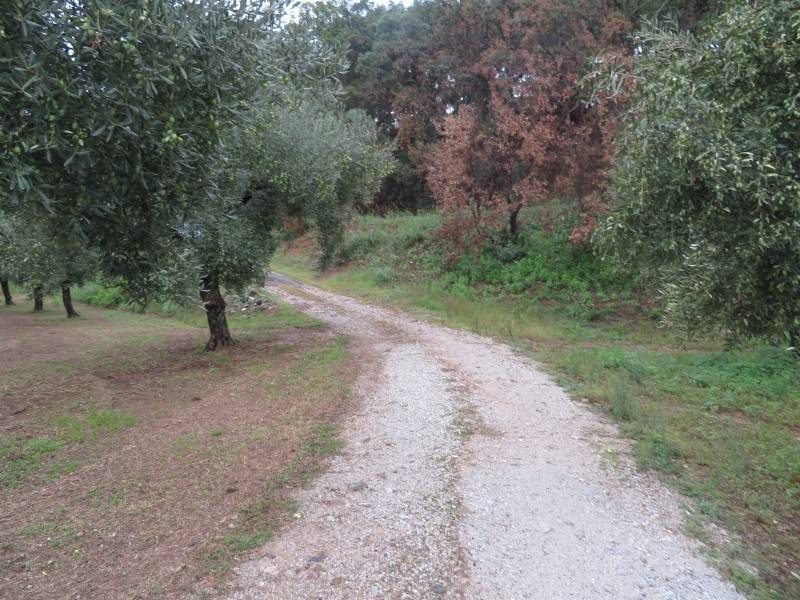 Terreno a Lamezia terme in Salvatore Fimiani - Foto 5