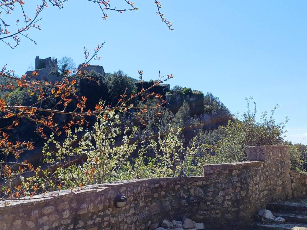 Casa indipendente a Torri in sabina in Corso Foronovo, 2 - Foto 4