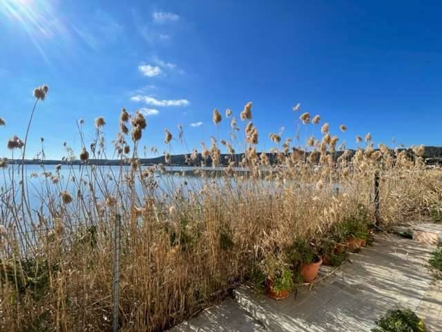 Appartamento a Carloforte - Foto 2