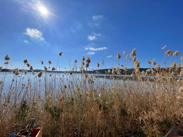 Appartamento a Carloforte - Foto 3