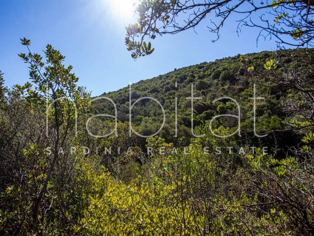 Terreno a Olbia - Foto 3