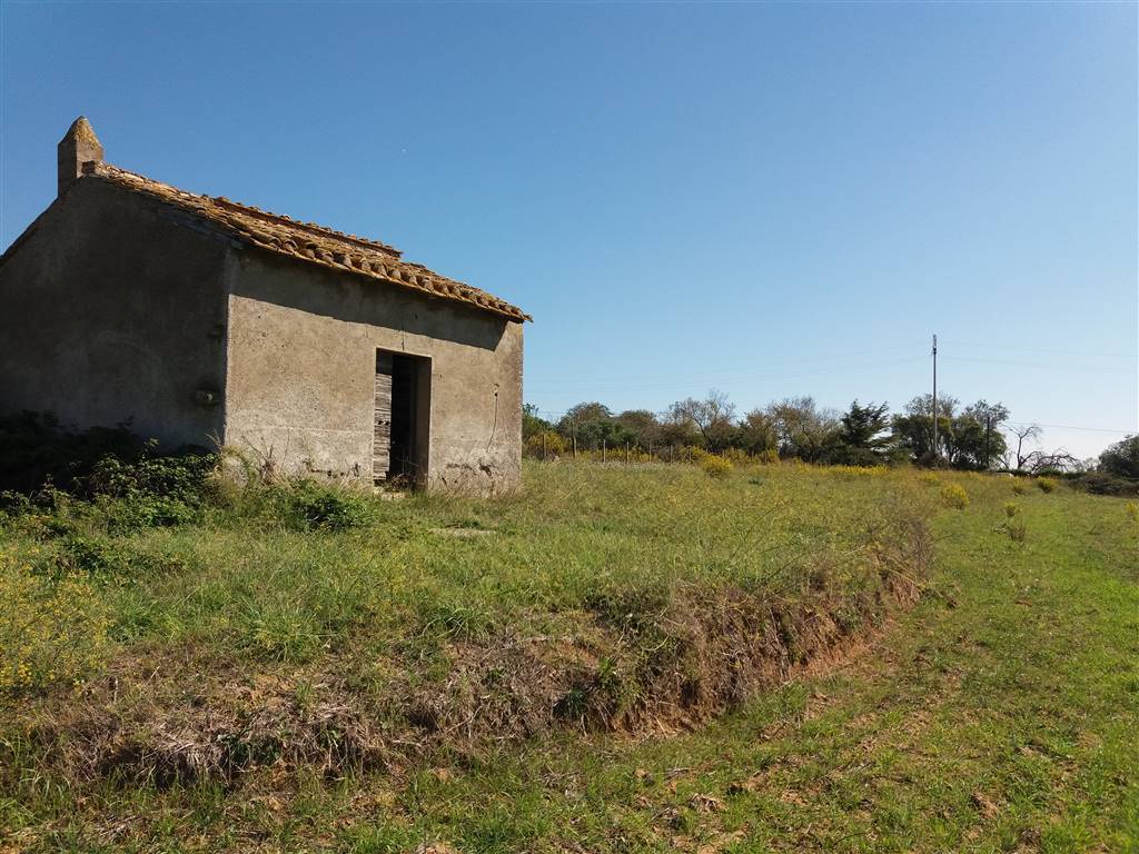 Rustico / casale a Tarquinia in , - Foto 4