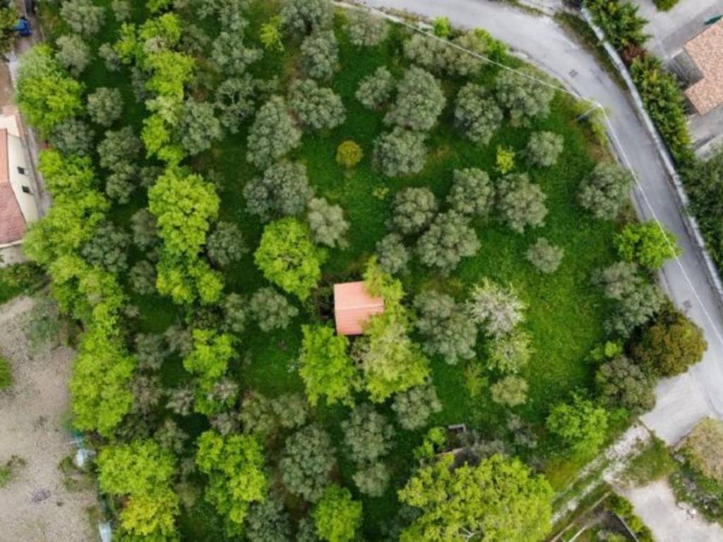 Rustico / casale a Casal velino in Via Portararo, 16 - Foto 2