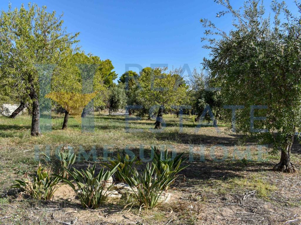 Villa a Avola in Piazza Teatro - Foto 3