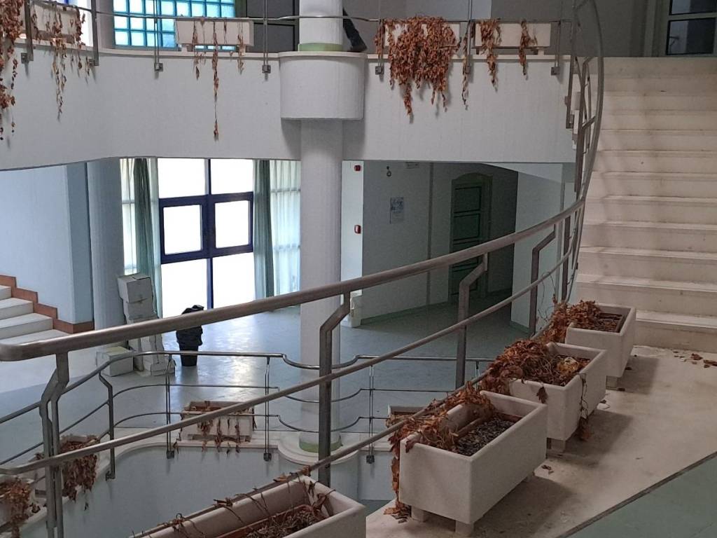 Immobile a Matera in Via Vincenzo Alvino - Foto 4