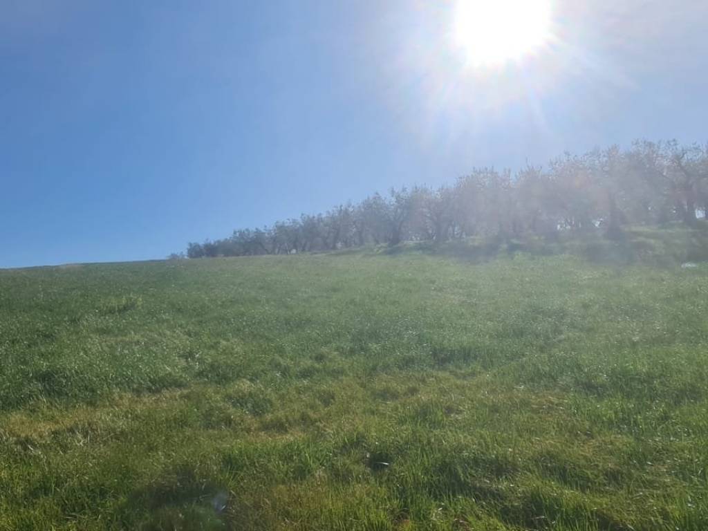 Terreno a Montefalco in Vocabolo Lasignano - Foto 2
