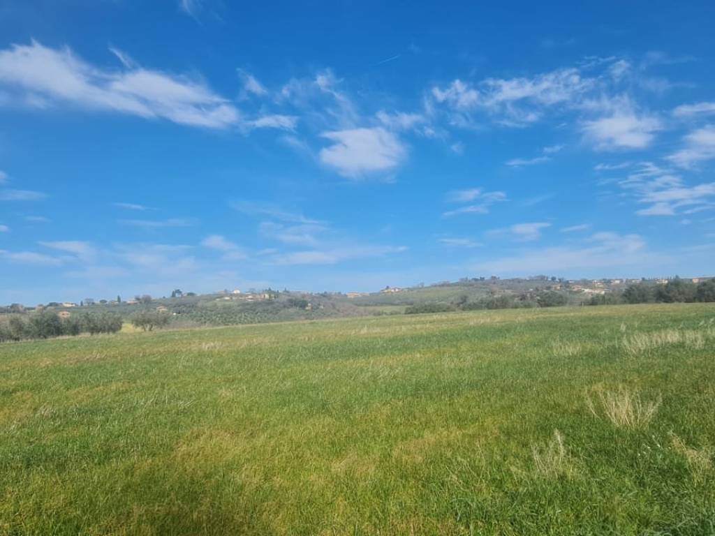 Terreno a Montefalco in Vocabolo Lasignano - Foto 4