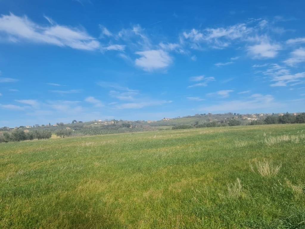 Terreno a Montefalco in Vocabolo Lasignano - Foto 5