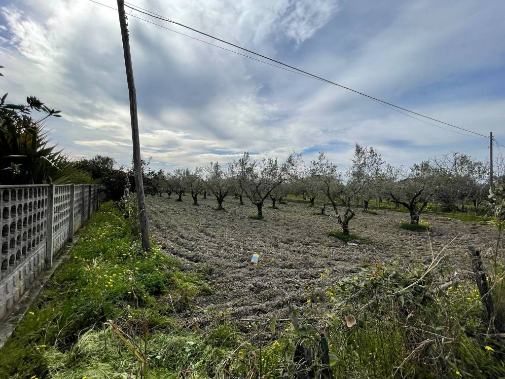Terreno a Lamezia terme in Via Alida Nucifero - Foto 2