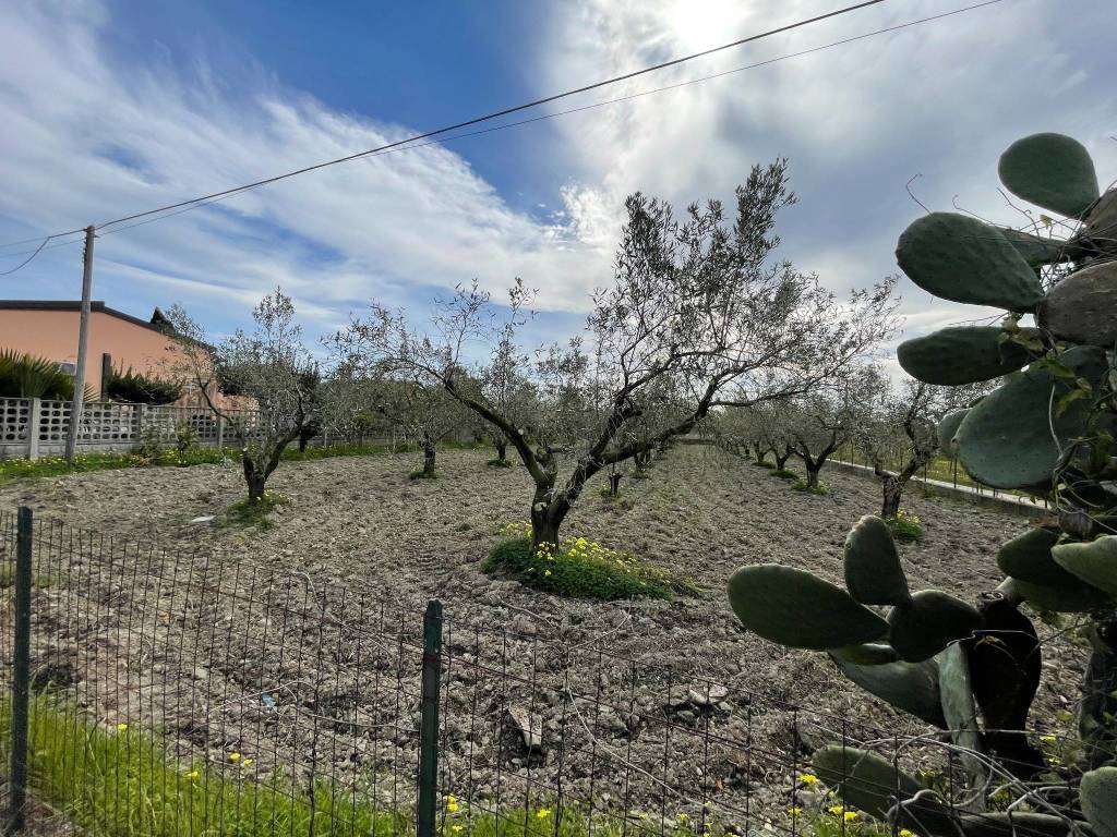 Terreno a Lamezia terme in Via Alida Nucifero - Foto 4