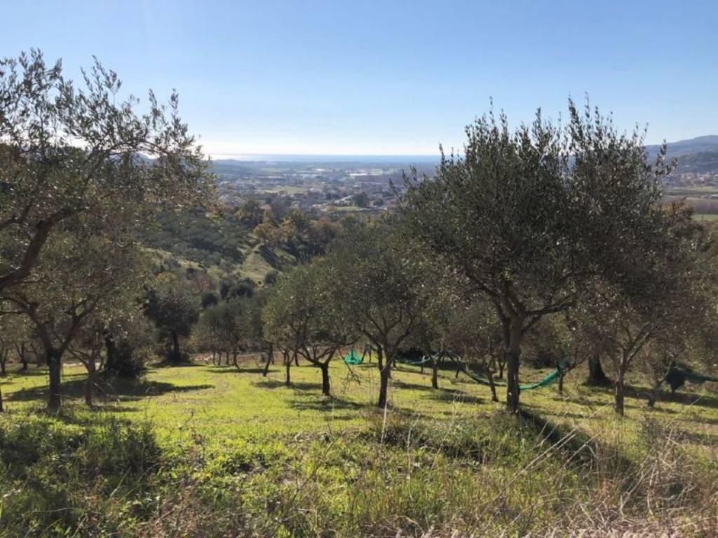 Terreno a Castelnuovo cilento in Complesso residenziale Casal Velino Scalo - Foto 2