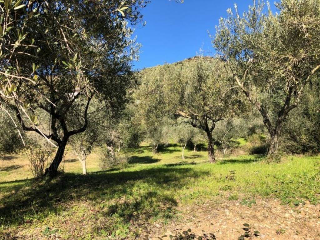 Terreno a Castelnuovo cilento in Complesso residenziale Casal Velino Scalo - Foto 3