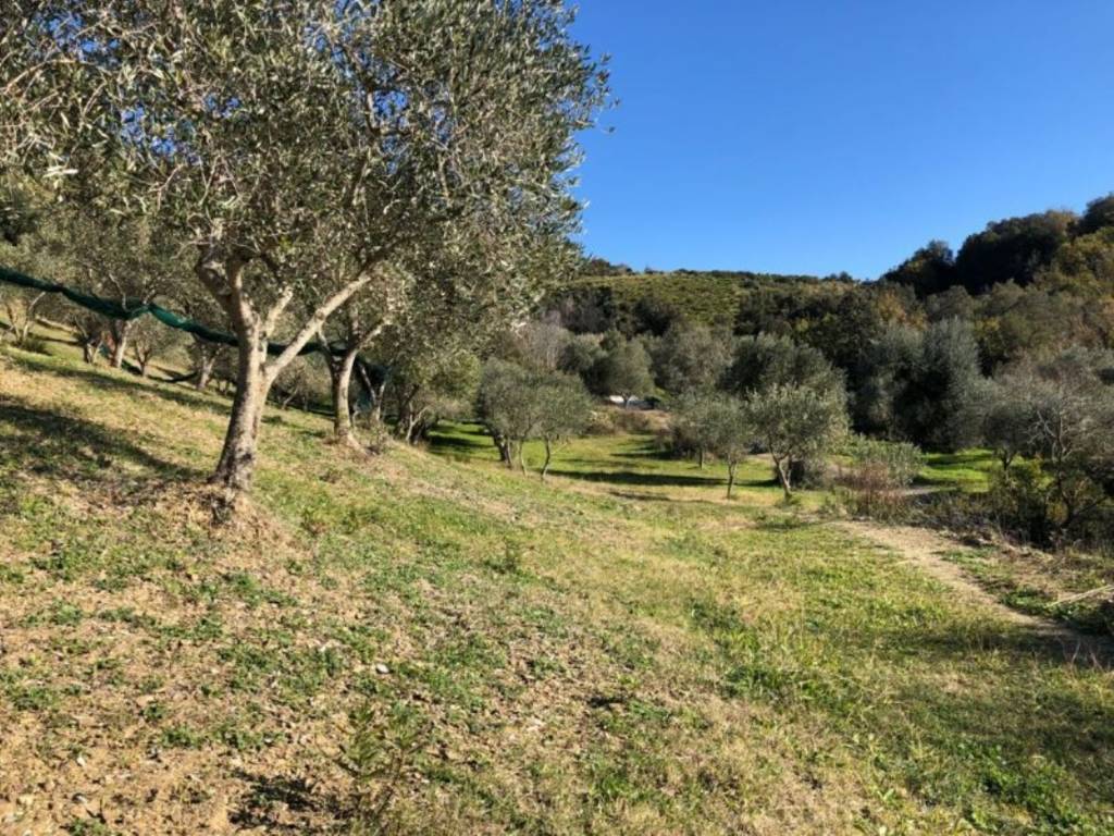 Terreno a Castelnuovo cilento in Complesso residenziale Casal Velino Scalo - Foto 4