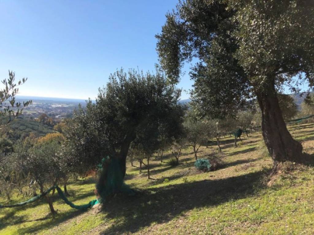 Terreno a Castelnuovo cilento in Complesso residenziale Casal Velino Scalo - Foto 5