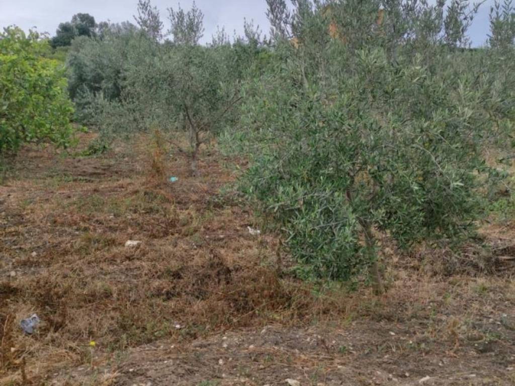 Terreno a Bagheria in Svincolo Bagheria - Foto 2