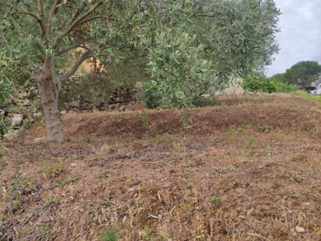 Terreno a Bagheria in Svincolo Bagheria - Foto 3