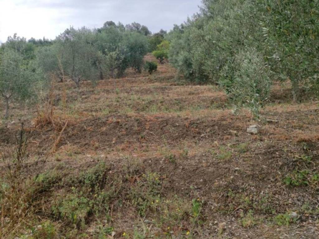 Terreno a Bagheria in Svincolo Bagheria - Foto 5