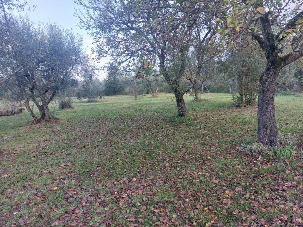 Rustico / casale a Castelfranco piandisco in Via Aretina - Foto 3