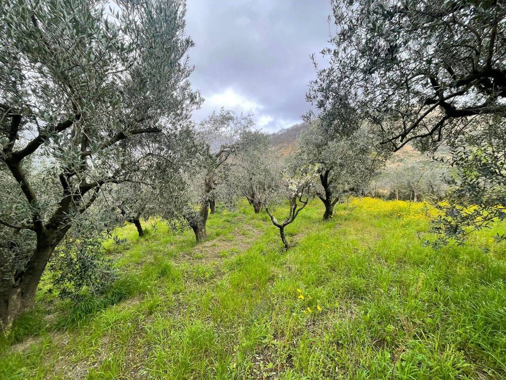 Terreno a Castel san giorgio in Via Paterno - Foto 2