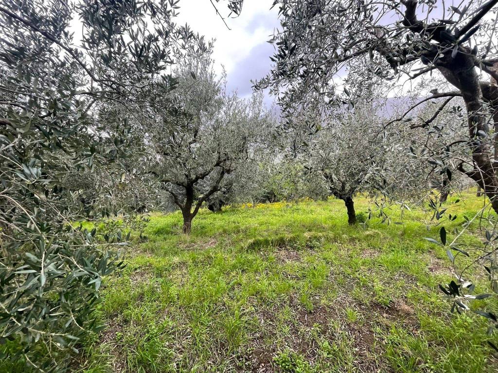 Terreno a Castel san giorgio in Via Paterno - Foto 3