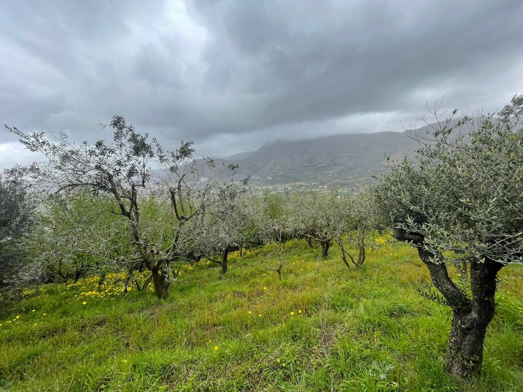 Terreno a Castel san giorgio in Via Paterno - Foto 4