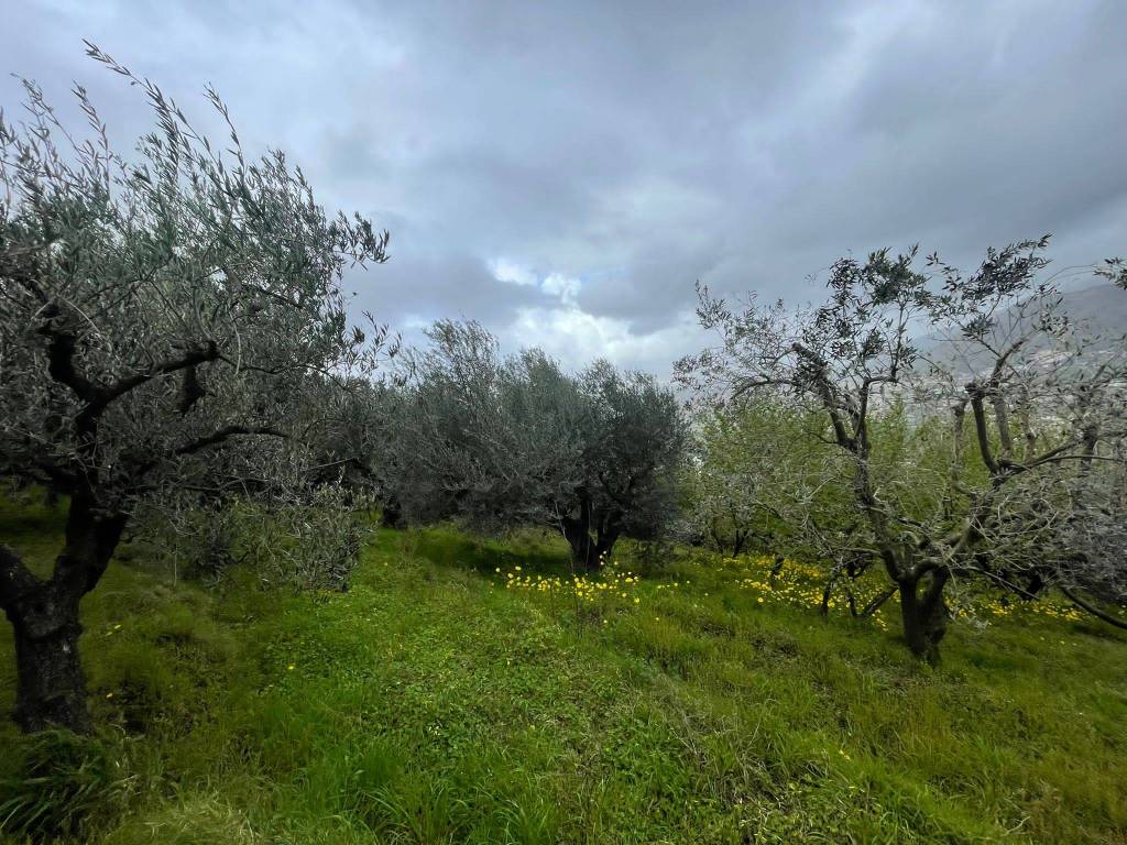 Terreno a Castel san giorgio in Via Paterno - Foto 5