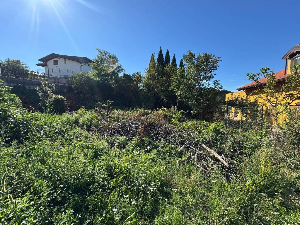 Terreno a Muggia - Foto 2