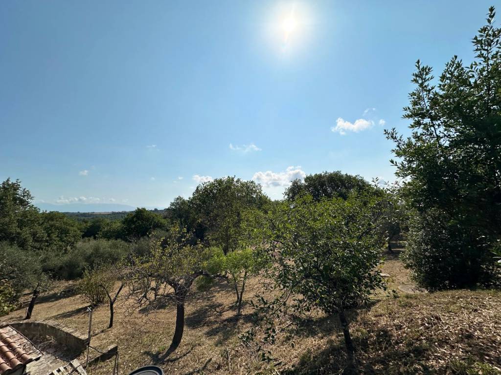 Villa a Civita castellana in Via Cipollini , 38 - Foto 5