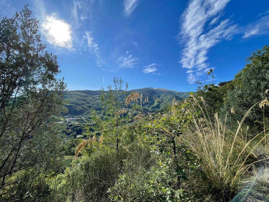 Rustico / casale a Ascoli piceno in Strada per Rosara - Foto 3