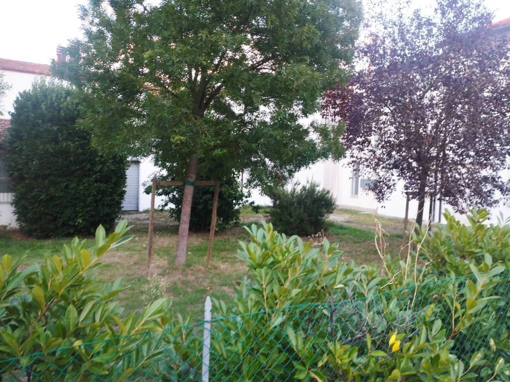 Appartamento a Conselice - Foto 5