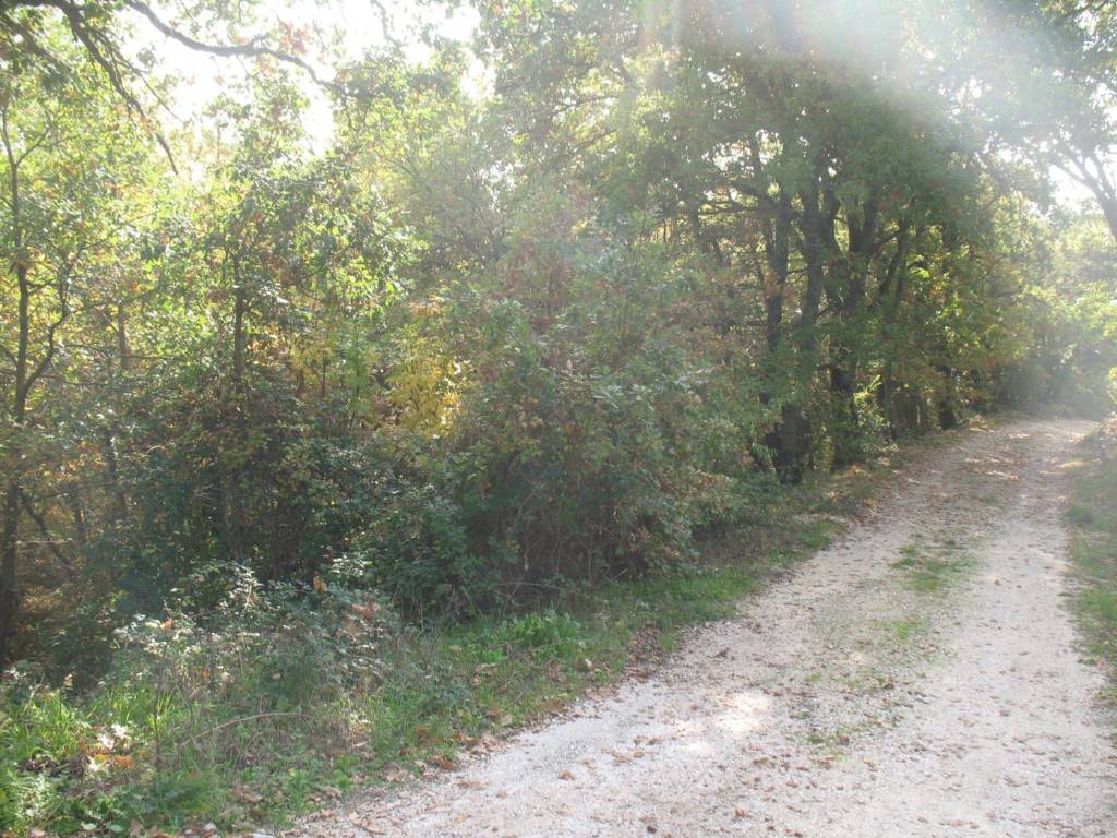 Terreno a Oratino in via S. Martino, snc - Foto 5