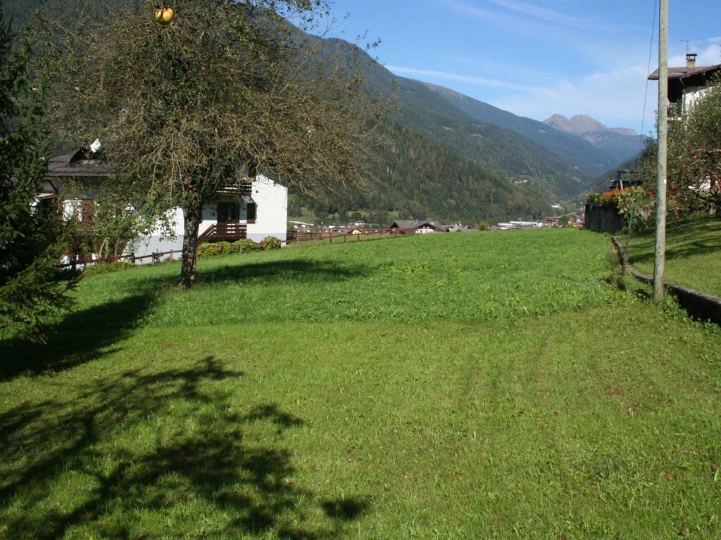 Terreno a Primiero san martino di castrozza in Via Bellavista - Foto 4