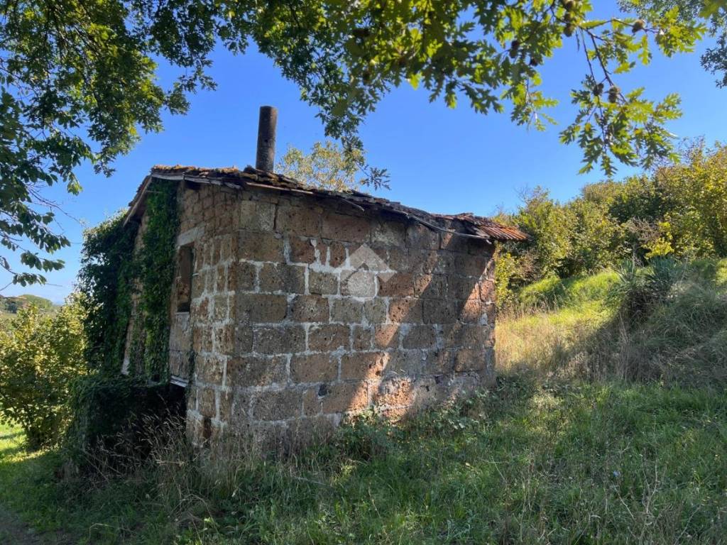 Rustico / casale a Soriano nel cimino in Via della guinza - Foto 2