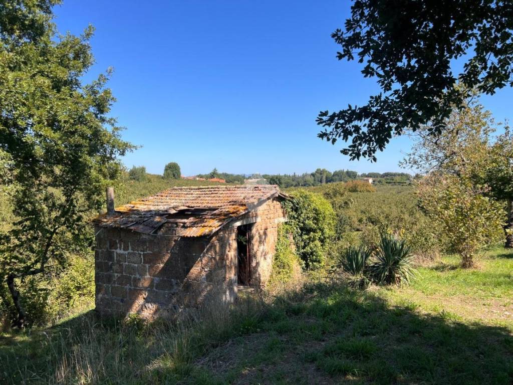 Rustico / casale a Soriano nel cimino in Via della guinza - Foto 3