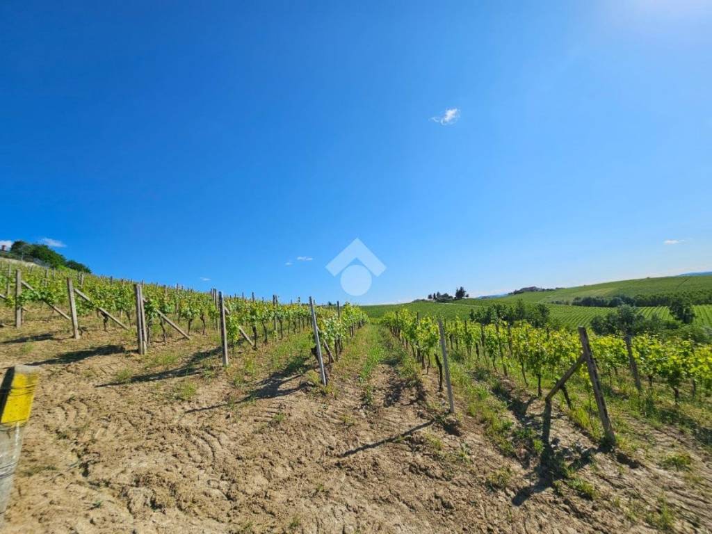 Terreno a Nizza monferrato in STRADA ALESSANDRIA, 74 - Foto 3