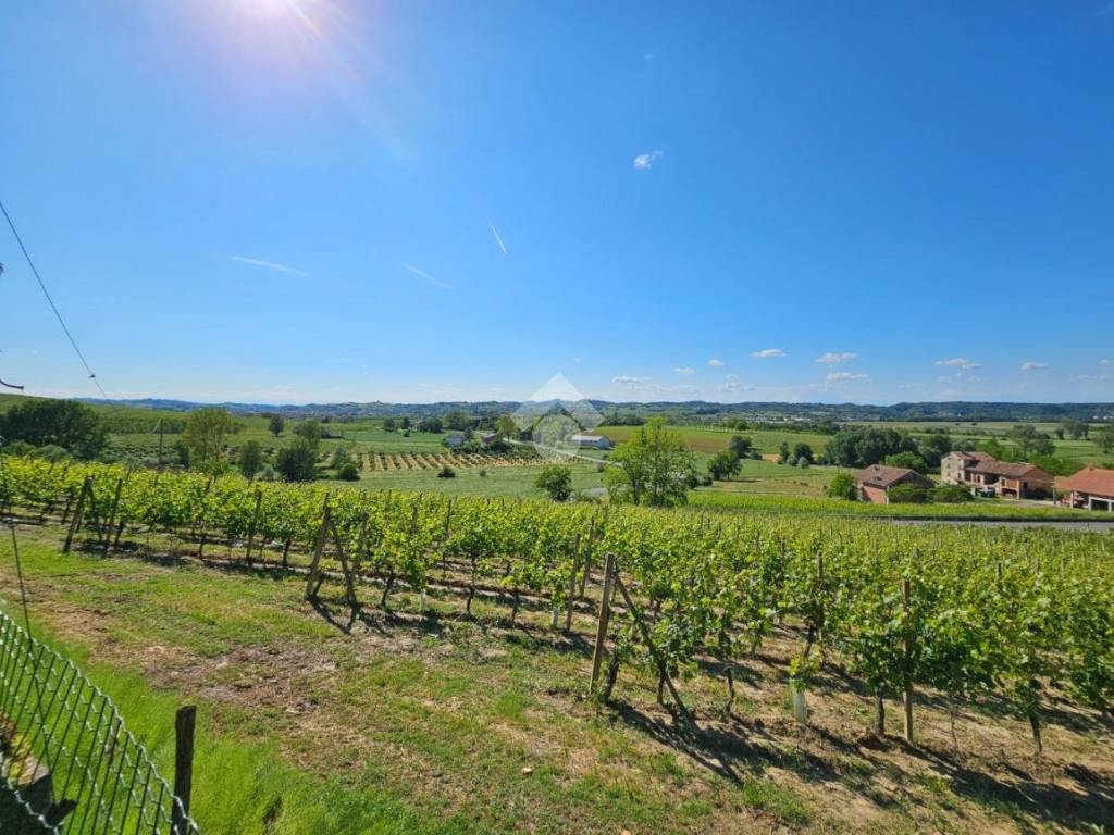 Terreno a Nizza monferrato in STRADA ALESSANDRIA, 74 - Foto 5