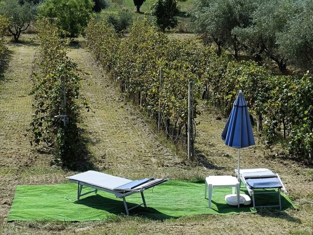 Villa a Jesi - Foto 4