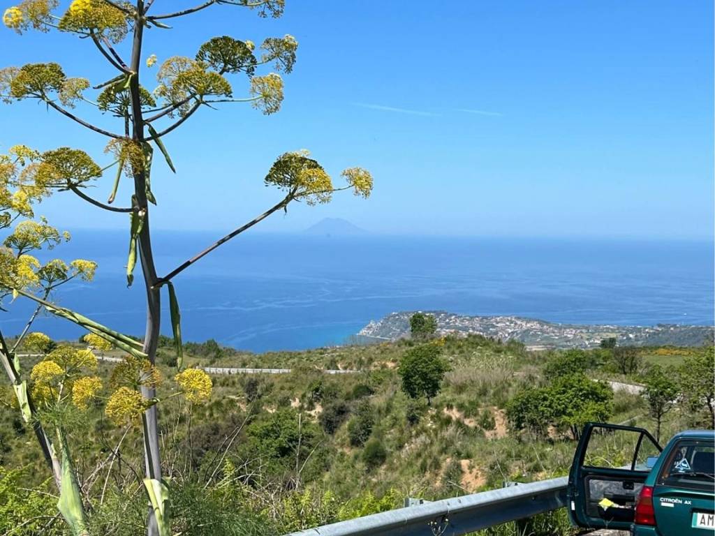 Terreno a Joppolo in Località Monte Poro - Foto 2