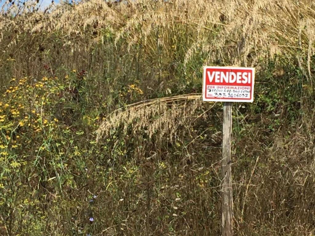 Terreno a Joppolo in Località Monte Poro - Foto 4