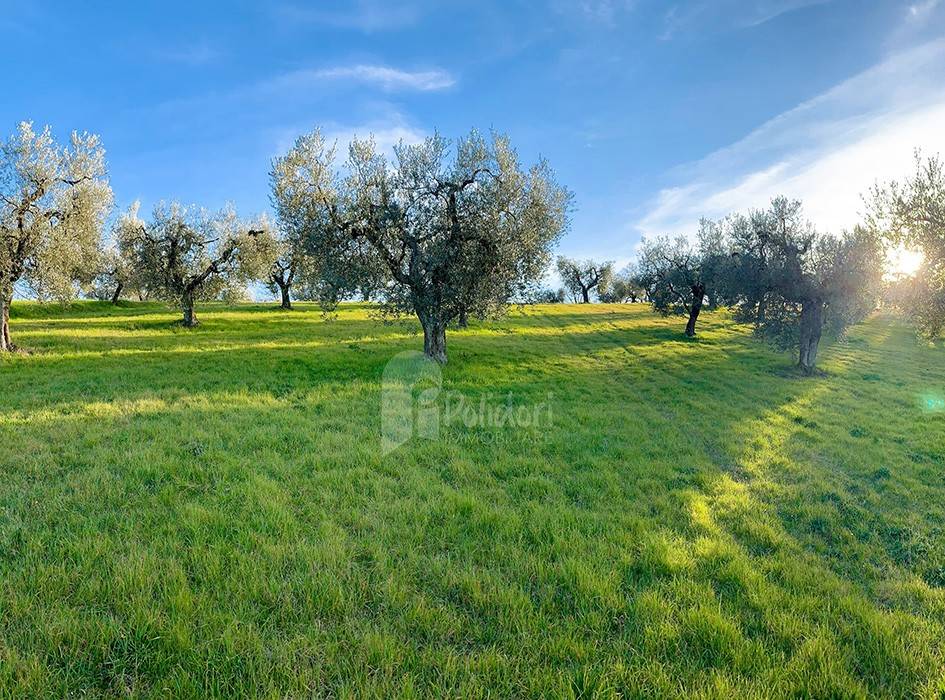 Terreno a Poggio mirteto - Foto 4