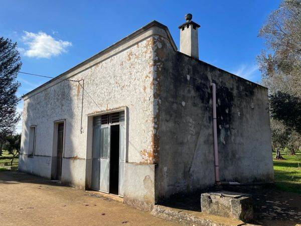 Rustico / casale a San michele salentino in Contrada San Giacomo - Foto 2