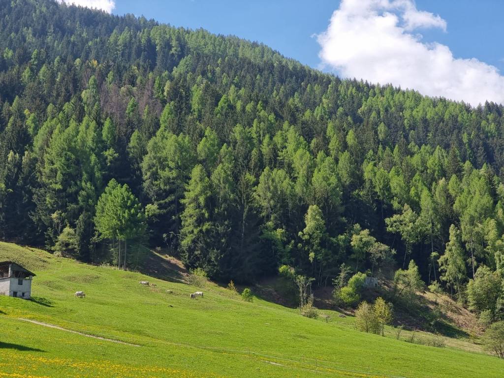 Appartamento a Aprica in Via Europa, 70 - Foto 5