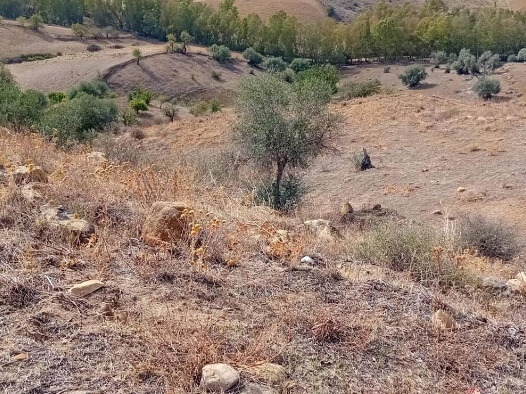 Terreno a Agira in Contrada Buterno - Foto 2