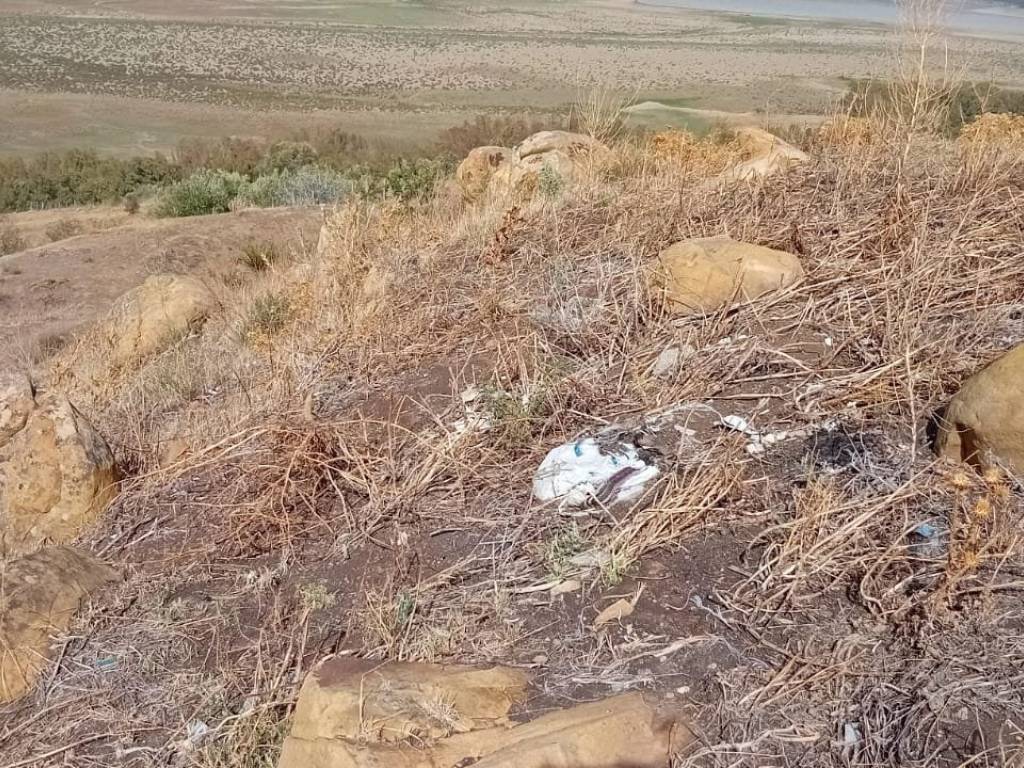 Terreno a Agira in Contrada Buterno - Foto 4