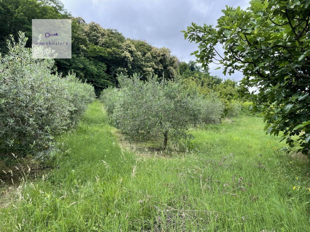 Terreno a Galzignano terme in via regazzoni bassa - Foto 2