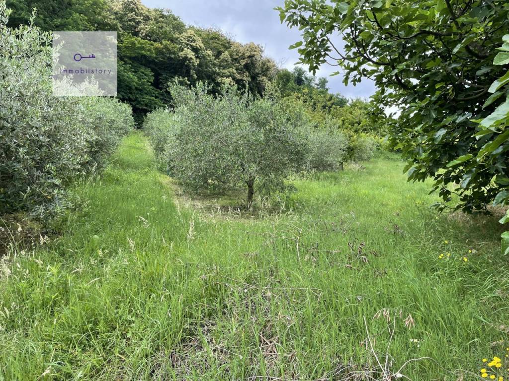 Terreno a Galzignano terme in via regazzoni bassa - Foto 3